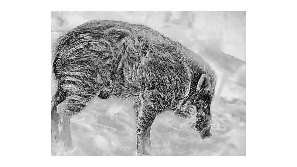 Guide USA TD Gen2 Series TD411 1.4-5.6x19mm Thermal Monocular, 384x288, Black, TD411