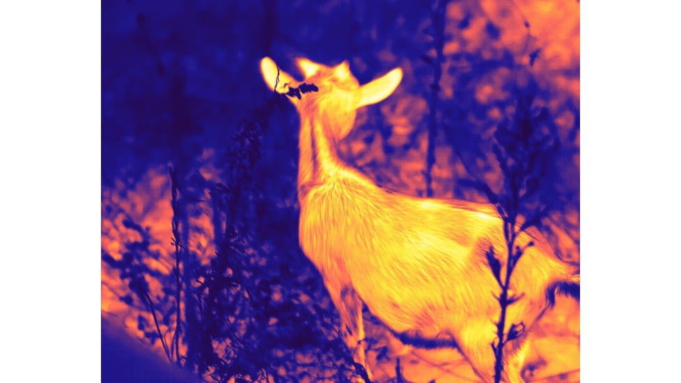 Guide USA TD Gen2 Series TD411 1.4-5.6x19mm Thermal Monocular, 384x288, Black, TD411