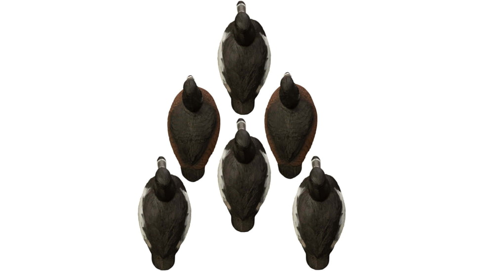 Higdon Outdoors Standard Ringneck Decoys w/Innovative Keel Clip, Self-Righting, Weighted Keel, UV Painting, Deep Realistic Carving, 6-Pack, Dark Blacks/Bright Whites/Rich Ruddy Earth, 19483