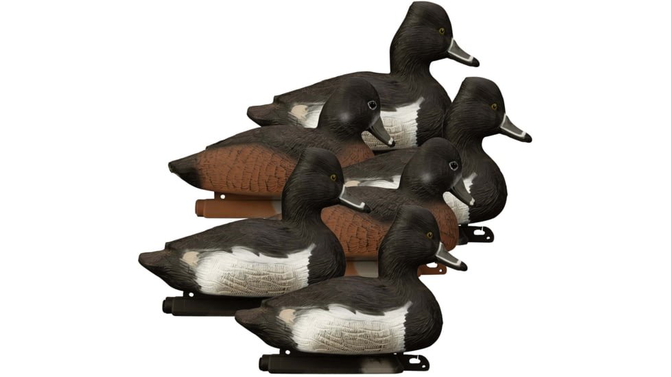 Higdon Outdoors 19483 Standard Ringneck Species Multi Color Foam Filled 6 Pack