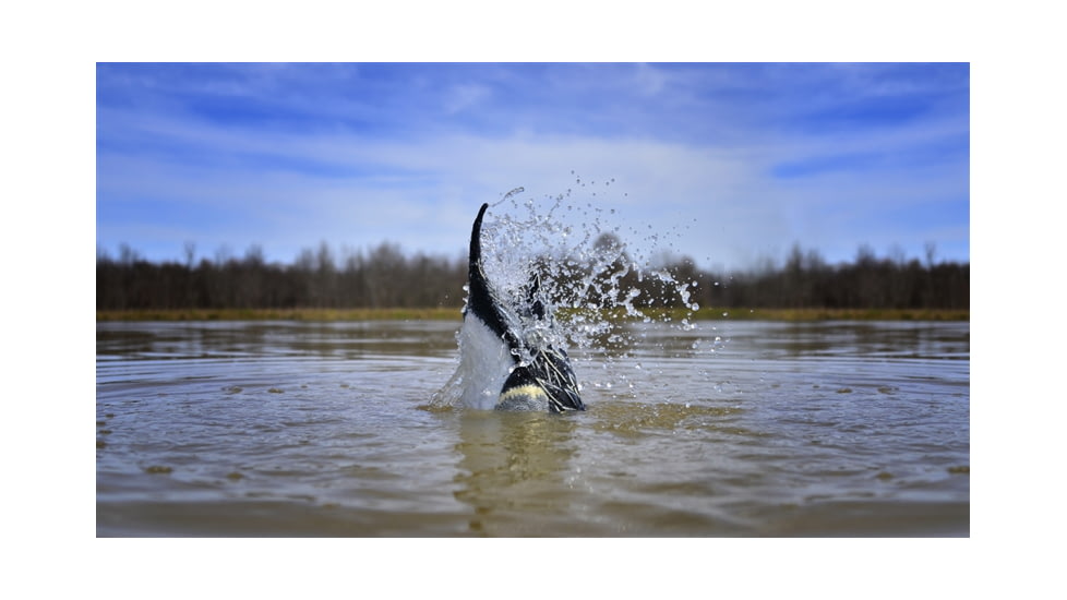 Higdon Outdoors 50534 XS Pulsator Pintail Black/Gray Rechargeable 12V Li-ion Pinta