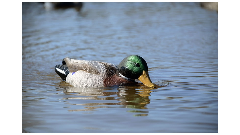 Higdon Outdoors 52053 XS Battleship Swimmer Mallard Drake Green/Brown Rechargeable