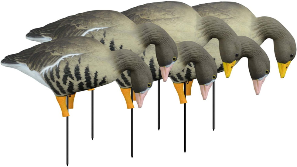 Higdon Outdoors APEX Full-Size Full-Body Feeder Pack Decoy, Specklebelly, 6 Pack, 72546
