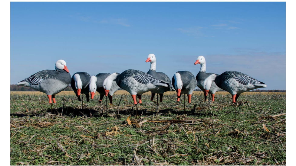 Higdon Outdoors APEX Full-Size Full-Body Variety Pack Decoy, 8 Pack, Blue, 72438