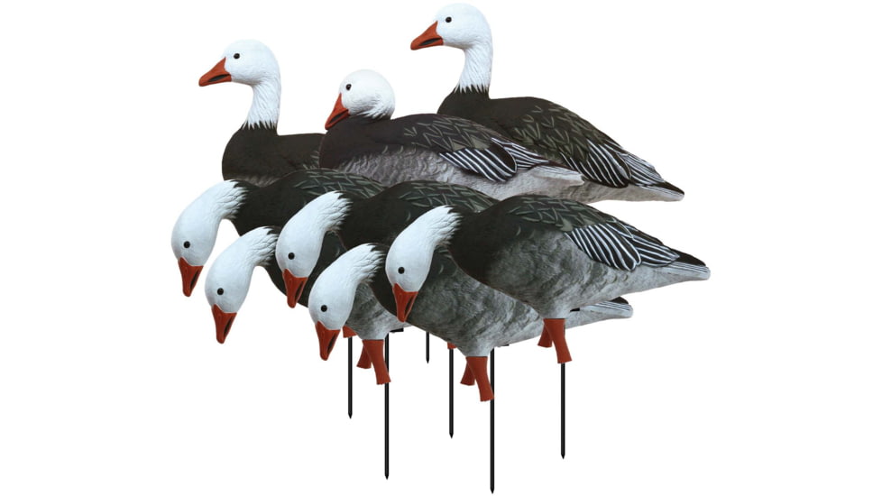 Higdon Outdoors APEX Full-Size Full-Body Variety Pack Decoy, 8 Pack, Blue, 72438