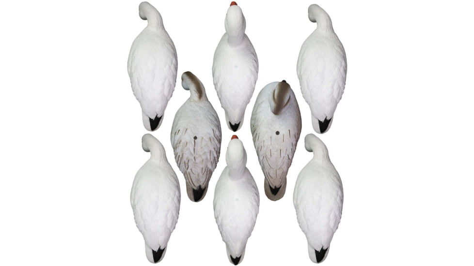 Higdon Outdoors APEX Full-Size Full-Body Variety Pack Decoy, Snow/Juvenile, 72338