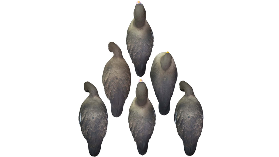 Higdon Outdoors APEX Full-Size Full-Body Variety Pack, Specklebelly, 72536