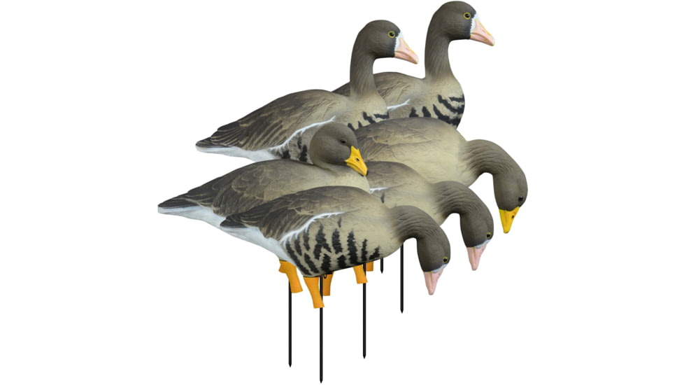 Higdon Outdoors APEX Full-Size Full-Body Variety Pack, Specklebelly, 72536