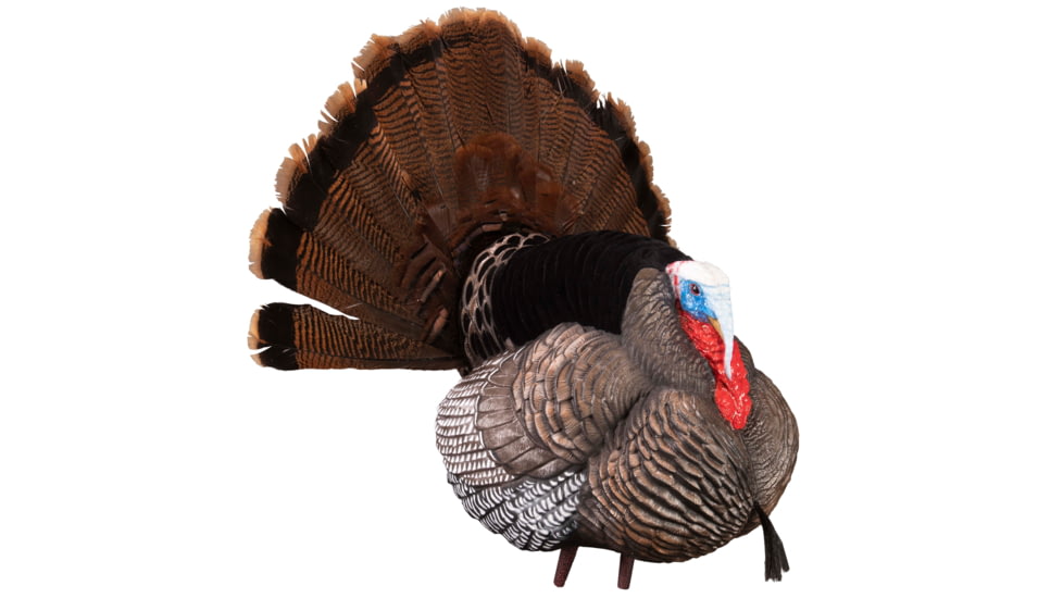 Higdon Outdoors APEX Strutter Hard Body Turkey, Lifesize, 63148