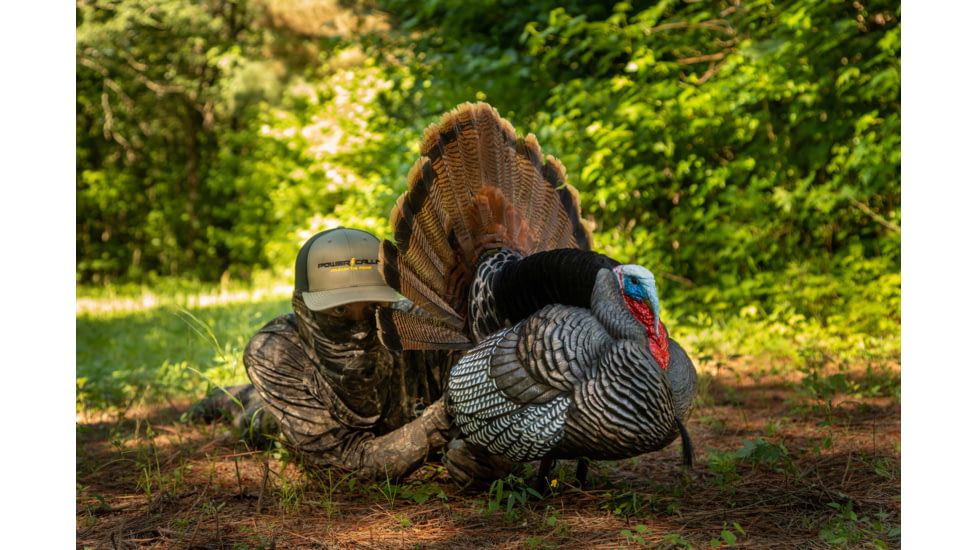 Higdon Outdoors APEX Strutter Hard Body Turkey, Lifesize, 63148