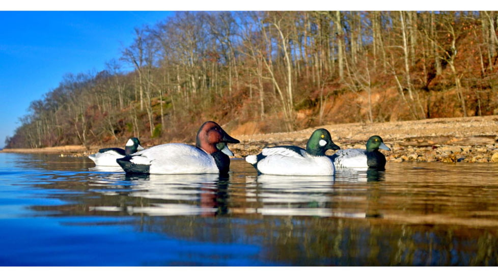 Higdon Outdoors Battleship Diver Pack Decoy, Foam Filled, All Drakes, Larger than Lifesize, 16994