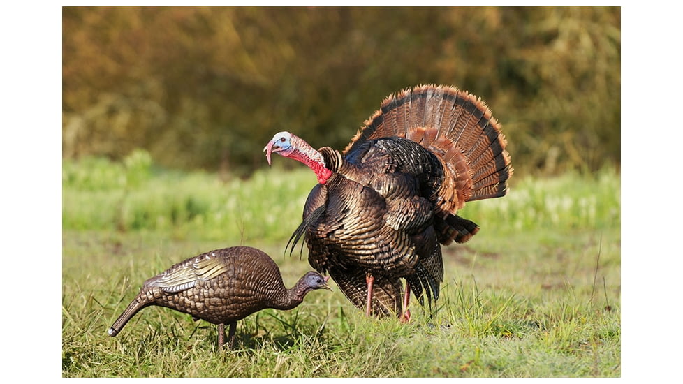 Higdon Outdoors Hard Body Feeder Hen Turkey Decoy, 63122