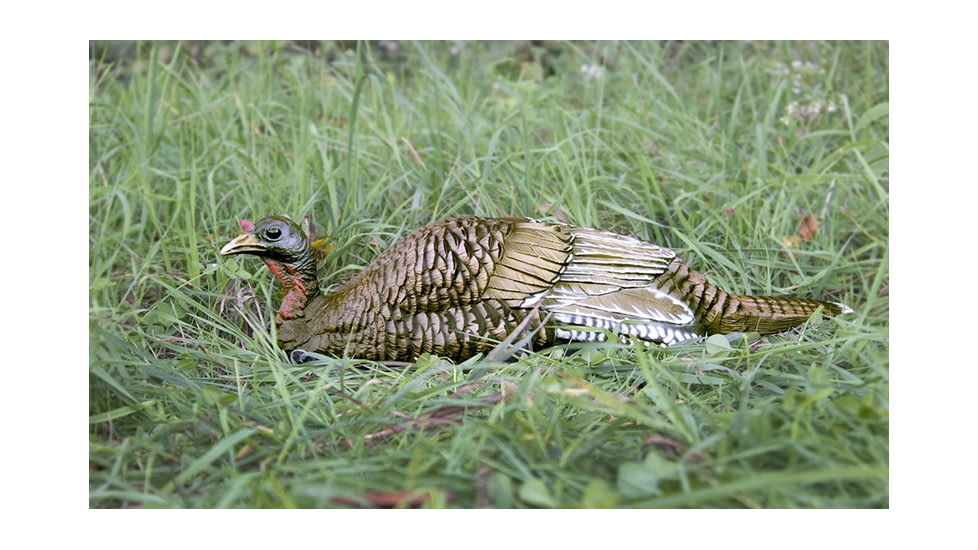 Higdon Outdoors Hard Body Laydown Hen Turkey Decoy, 63133