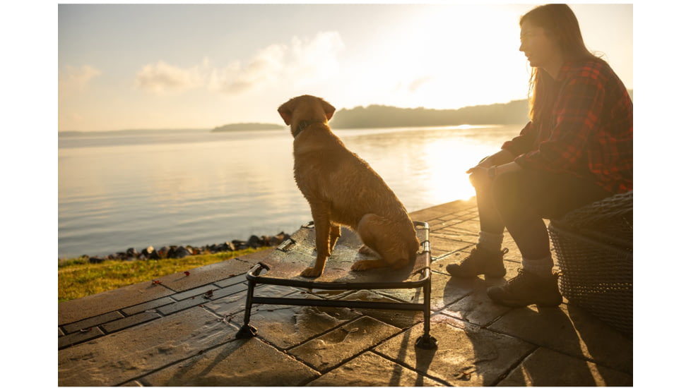 Higdon Outdoors MOmarsh Home Cot Breeze Elevated Pet Bed A31F740A