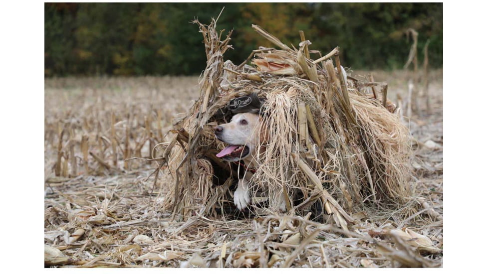 Higdon Outdoors MOmarsh Invisi-Grass Original 1.25lb Hunting Grass, Natural, 31323