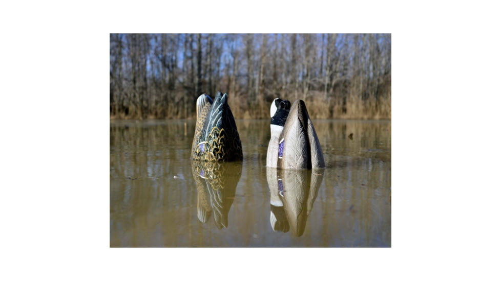 Higdon Outdoors Magnum Mallard Feeder Pack, Multi Color, 4 Pack, 17023