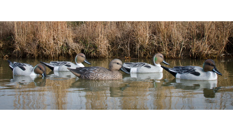 Higdon Outdoors Standard Pintail Decoy, Foam Filled, 6 Pack, Smaller than Lifesize, 19521