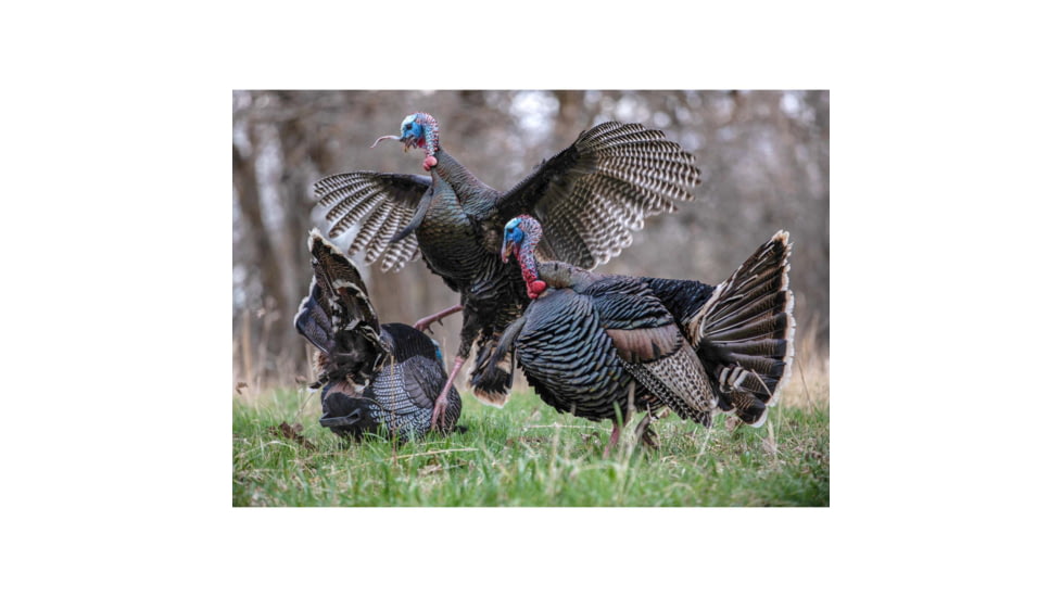 Higdon Outdoors TruStrutter XS Motion Turkey, 12V Li-ion, 63175