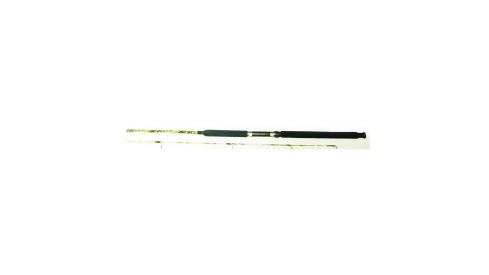 HT Enterprises Ht Cathunter Spin Rod 2 Piece, Medium-Heavy, 10lb - 30lb Line, 7, CHS-702MH