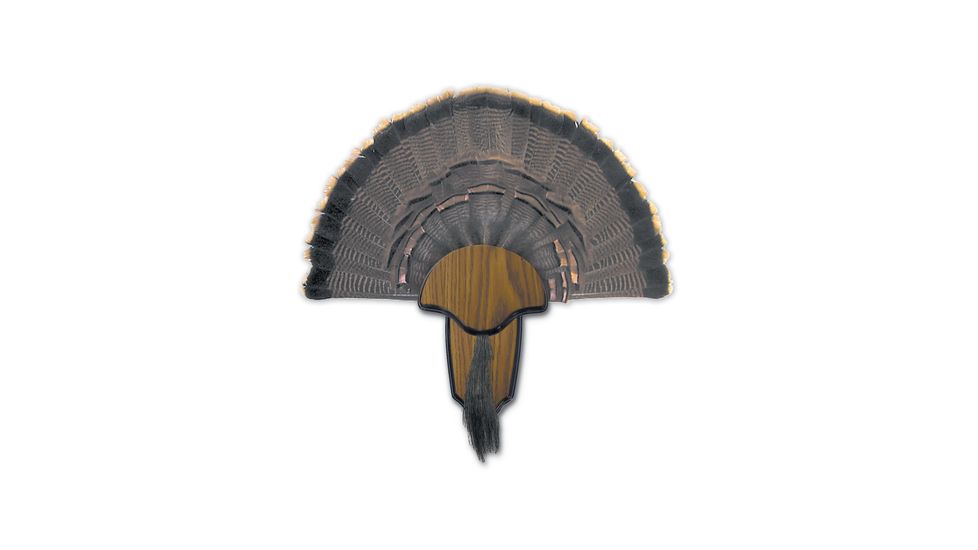 Hunters Specialties Turkey Tail/Beard Mount Kit 00849