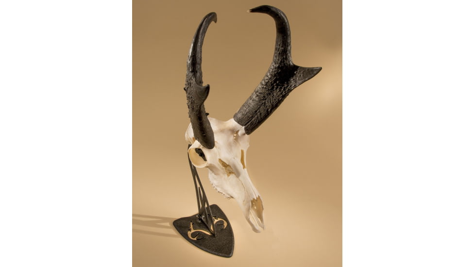 Hunters Specialties SKH-RTTH-ASSY-BLK Realtree Table Hooker Small/Mid-Size Game SKHRTTHASSYBLK