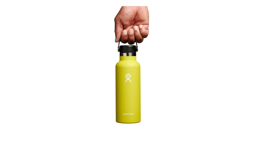 Hydro Flask 18 Oz Standard Flex Cap, Cactus, 18 oz, S18SX752