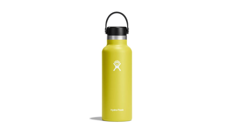 Hydro Flask 18 Oz Standard Flex Cap, Cactus, 18 oz, S18SX752