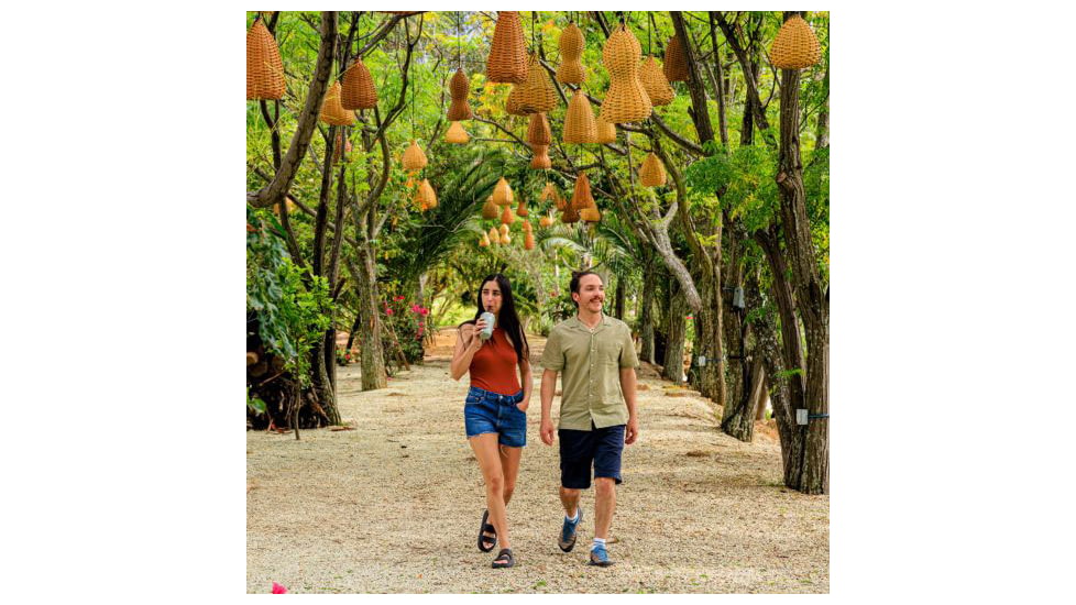 Hydro Flask 20 oz All Around Tumbler Press-In Lid, Agave, 20 oz, T20CPB374