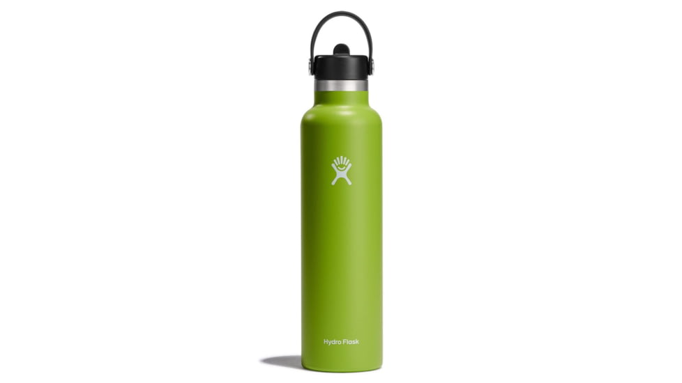 Hydro Flask 24 oz Standard Mouth Bottle w/Flex Cap, Seagrass, S24FS321