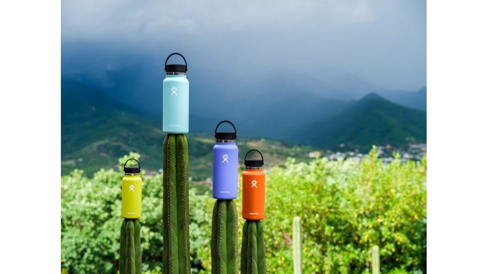 Hydro Flask 32 Oz Wide Flex Cap, Lupine, 32 oz, W32BTS474