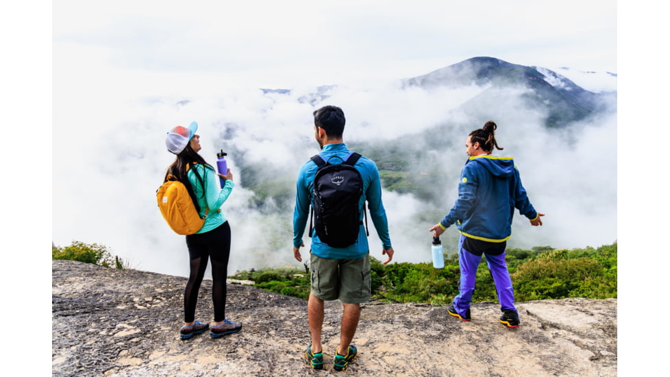 Hydro Flask 32 Oz Wide Flex Cap, Lupine, 32 oz, W32BTS474