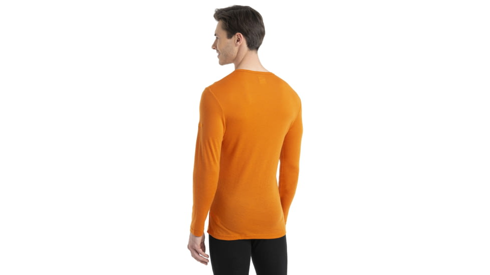 Icebreaker 175 Everyday Long Sleeve Crewe Thermal Top - Mens, Earth, Medium, IB104483865M