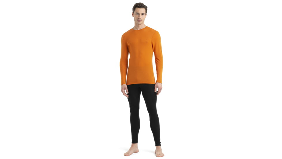 Icebreaker 175 Everyday Long Sleeve Crewe Thermal Top - Mens, Earth, Medium, IB104483865M