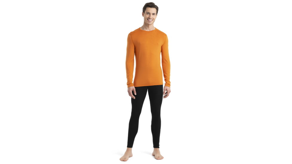 Icebreaker 260 Tech Long Sleeve Crewe Thermal Top - Mens, Earth, Small, IB104371865S