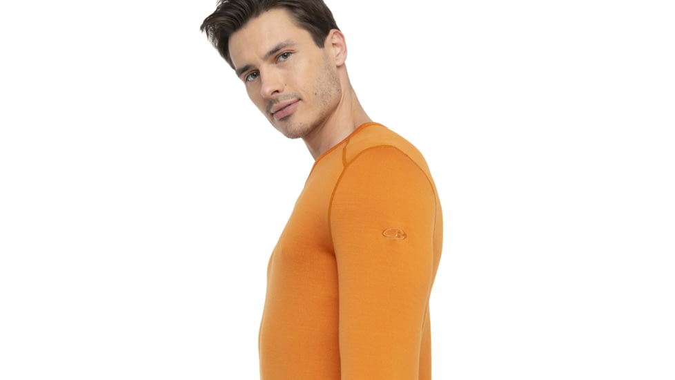 Icebreaker 260 Tech Long Sleeve Crewe Thermal Top - Mens, Earth, Small, IB104371865S