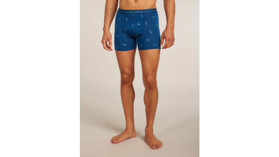 Icebreaker Merino 150 Anatomica Boxers Ski Day - Mens, Atlantis/Topaz/AOP, Small, IB0A57340H8S