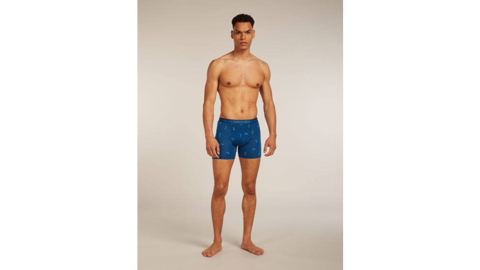 Icebreaker Merino 150 Anatomica Boxers Ski Day - Mens, Atlantis/Topaz/AOP, Small, IB0A57340H8S