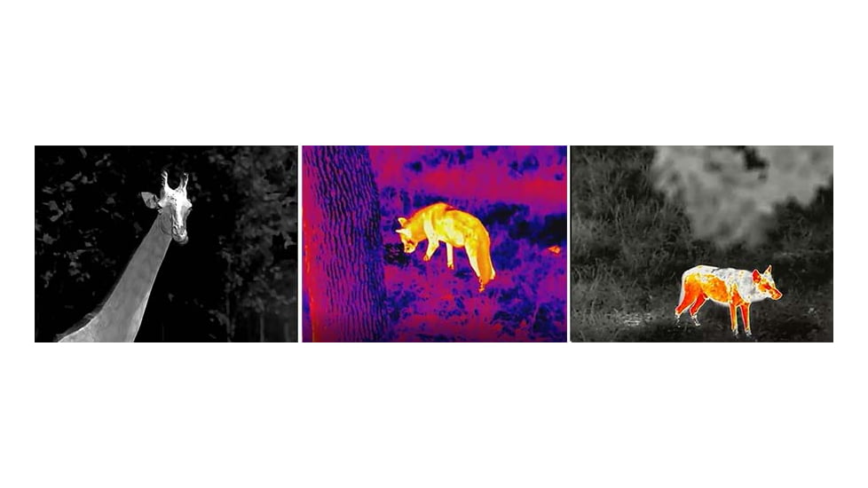 Infiray C2W Thermal Imaging Monocular, White and Black, EYE 1-C2W