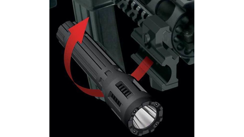 Inova In Force Color