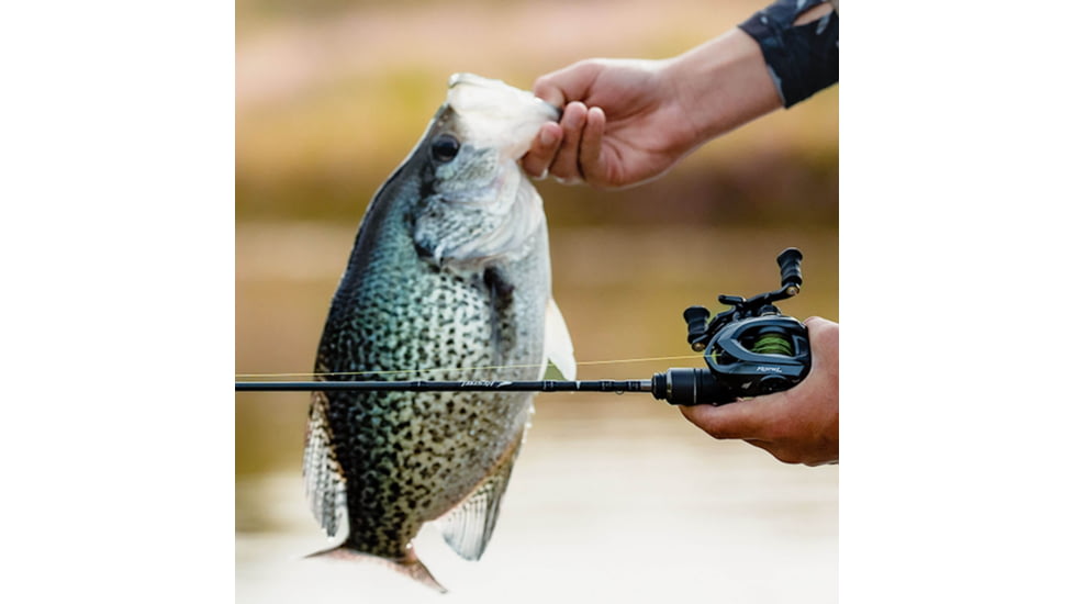 Kast King Kestrel Finesse Fishing Rod, Spinning 52 / Fast-Feather Light-2pcs, KKRDSPNKS52FLSF2