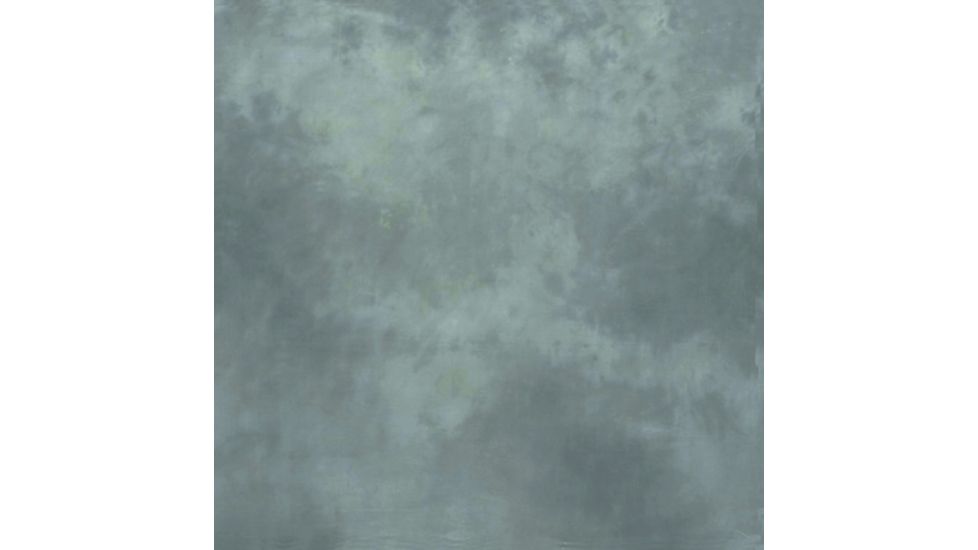 Lastolite 10x12 Washable Muslin Background, Washington LLLB7740