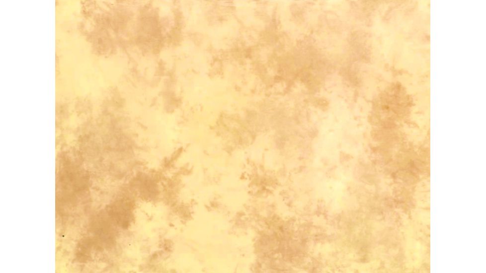 Lastolite 5'x6' Collapsible Reversible Background Train, Colorado Arizona LLLB67CA 