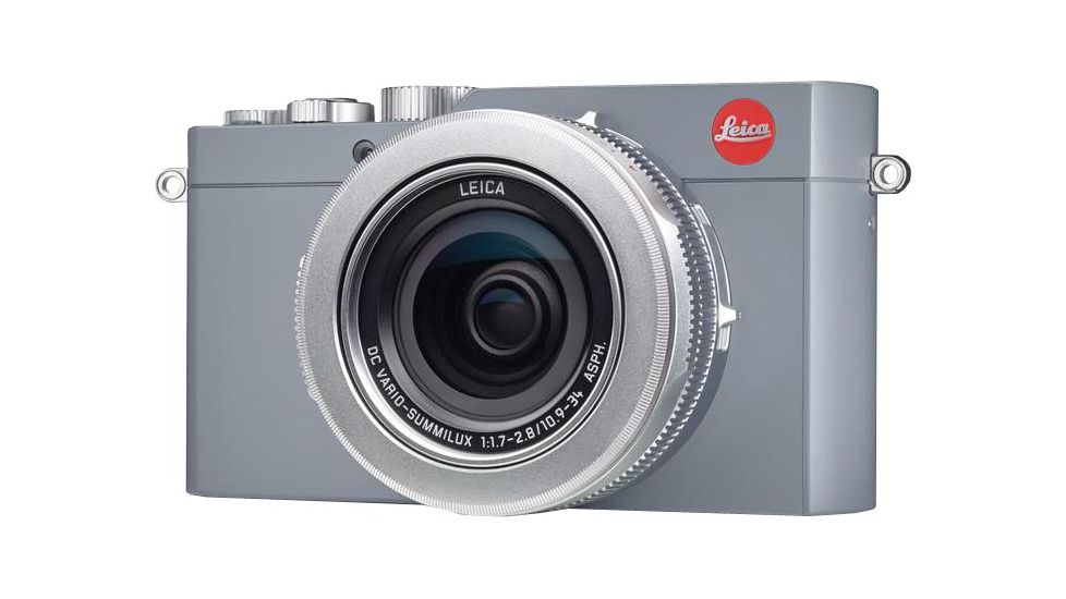 Leica D-Lux Camera, Solid Gray 18476