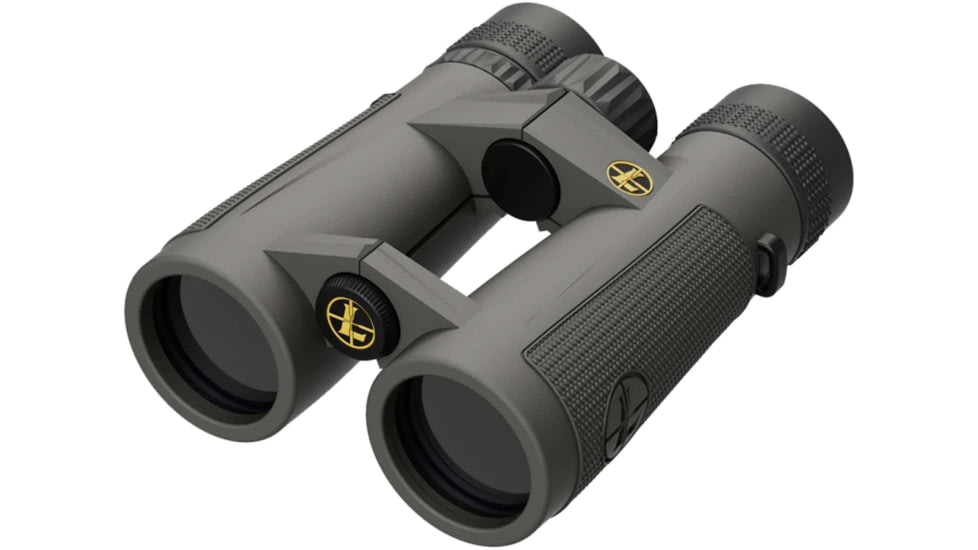 Leupold BX-5 Santiam HD 10x42mm Roof Prism Binoculars, Gray, 174483
