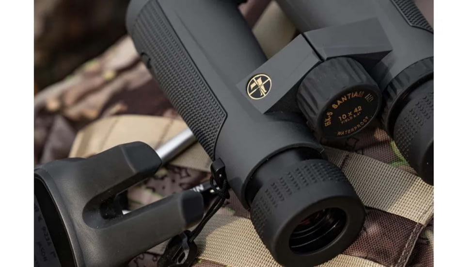 Leupold BX-5 Santiam HD 10x42mm Roof Prism Binoculars, Gray, 174483