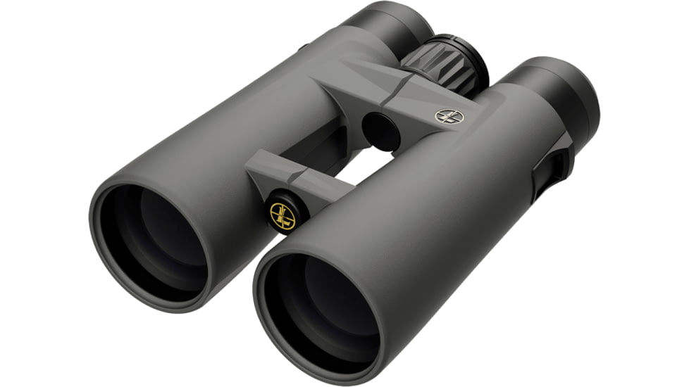Leupold Gen 2 BX-4 Pro Guide HD 12x50mm Binocular, Grey/Black, Small, 184763