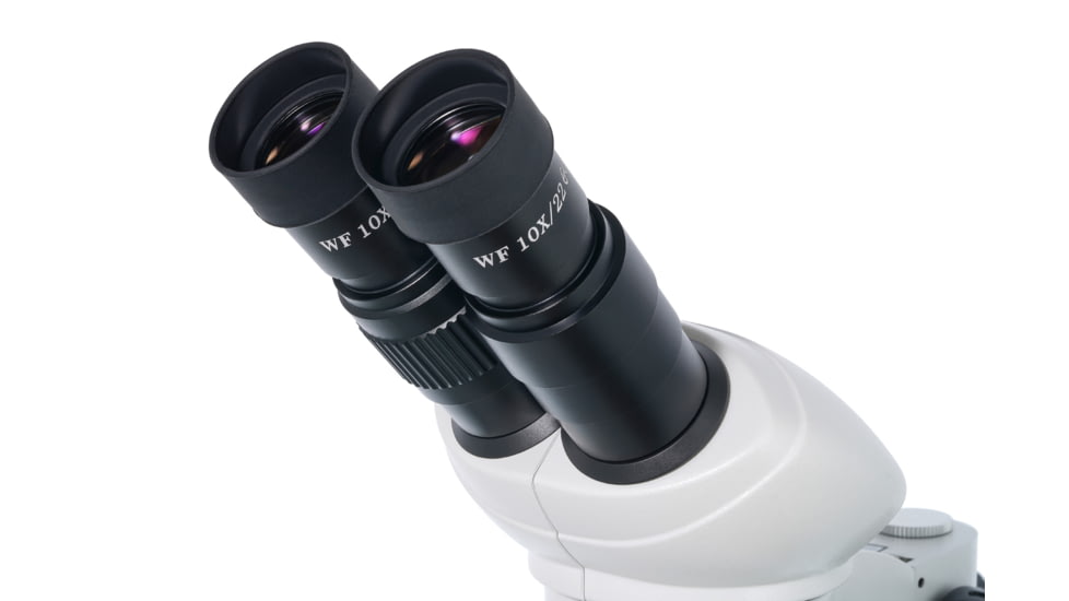 Levenhuk 20-40x 4ST Binocular Microscope, White, Middle, 76055