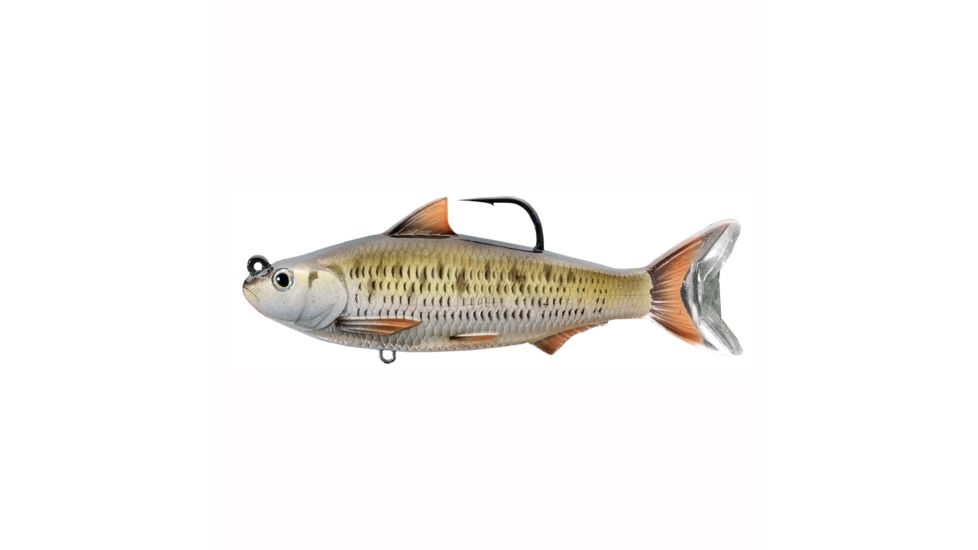 Live Target Cmn Shiner 4 SS,MSV,Slvr/Brnz,4/0,3/4oz CSS100MS205