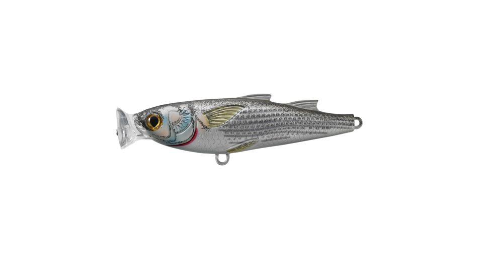 Live Target Mullet Popper,natural/matte,#4 MUP90T901