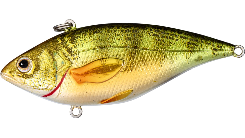 Live Target Yellow Perch Rattlebait